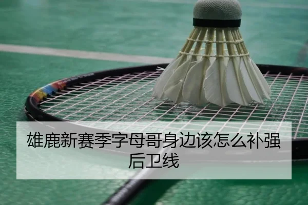 雄鹿新赛季字母哥身边该怎么补强后卫线