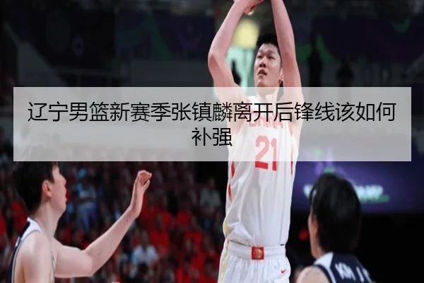 辽宁男篮新赛季张镇麟离开后锋线该如何补强
