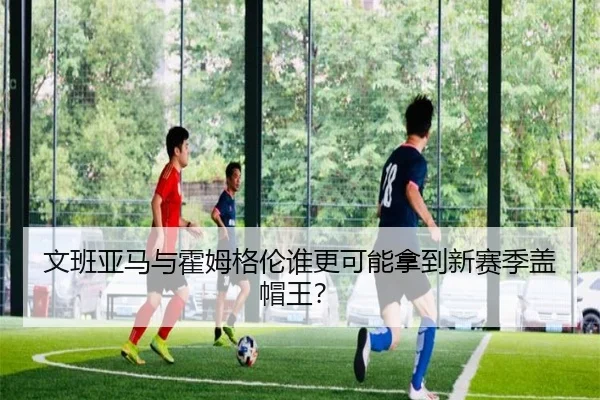 文班亚马与霍姆格伦谁更可能拿到新赛季盖帽王？
